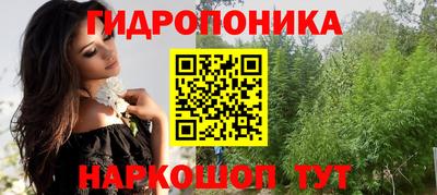 винт Партизанск