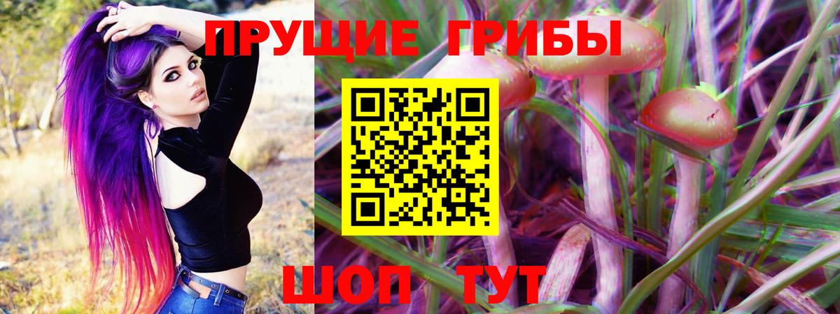 Скопин  купить наркотики сайты  Вход с VPN  Псилоцибиновые грибы Magic Shrooms 